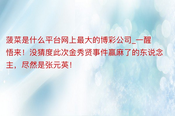菠菜是什么平台网上最大的博彩公司_一醒悟来！没猜度此次金秀贤事件赢麻了的东说念主，尽然是张元英！